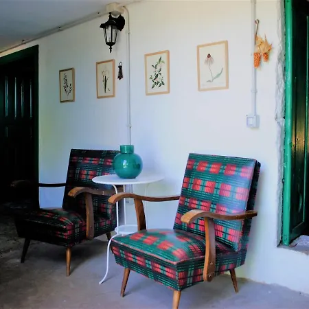 El Castano * Las Palmas de Gran Canárias