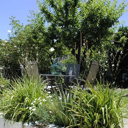 El Castano 山林小屋